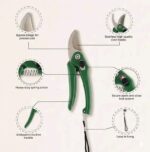 Premium Stainless Steel Gardening Plant Cutter | Sharp Pruning Shears for Plants, Flowers & Branches Green Garden Cutter - Image 4